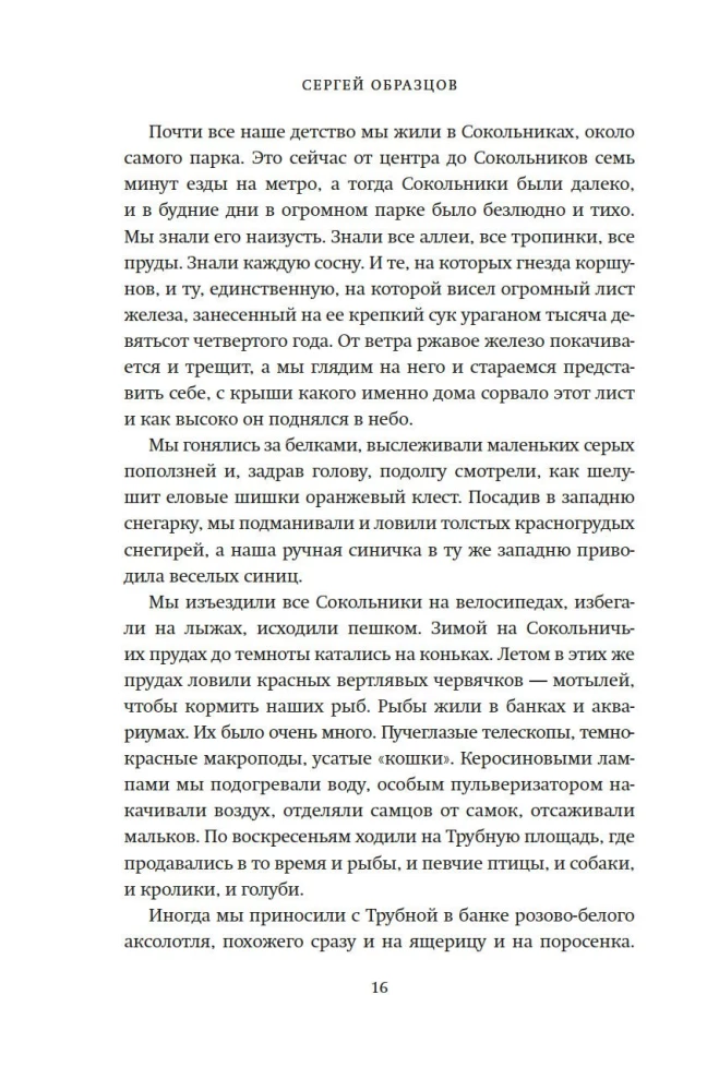 Моя профессия